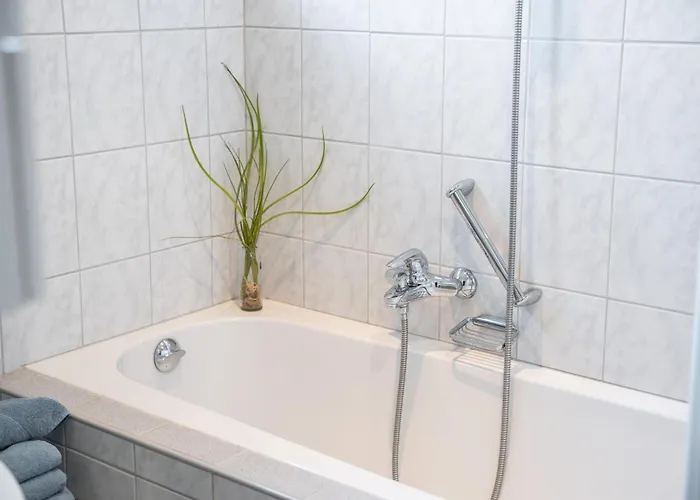 Nussbaumblick شقة *